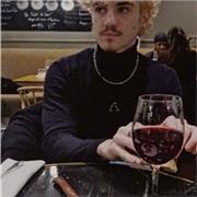 Étudiant en 3e année d'étude supérieur. Excellent résultats en anglais. Patient et pédagogue