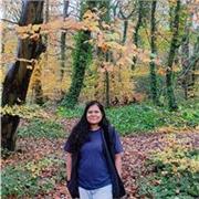 C programming concepts, algorithms