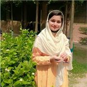 I give private lessons according to students need