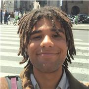 Offro ripetizioni individuali online e in presenza a ragazzi/e per una migliore rendita scolastica e approfondimento