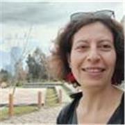 Native Spanish tutor with more than 10 years experience. On-line lessons.
