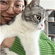 Yijiao