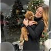 Insegnante scuola primaria, laureata in L19 e laureanda in Scienze della Formazione Primaria ( 4 anno di corso )