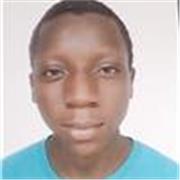 A professional academic writer and proficient English teacher 