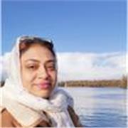 Primary school students I am studying Doctorate Degree in Business passed MBA from UK as well