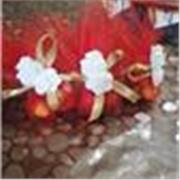 Sono stata una studentessa di Firenze di ingegneria edile laureandomi come tale, ho esperienza nelle riparazioni con ragazzi. 