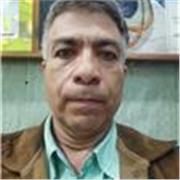 Servicios profesionales de investigación y desarrollo académico de pregrado y postgrado