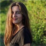 Insegnante di italiano, latino, greco e discipline umanistiche