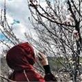 İnsanlarla tanışmak, sohbet etmekten çok hoşlanıyorumSadece ingilizce konuşma pratiği yapmak isteyenlere yardımcı olmak istiyorum.
