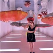 Lezioni di inglese sia in presenza che online, da livelli più basici fino al livello C1