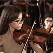 Insegnante di Violino e teoria del solfeggio base