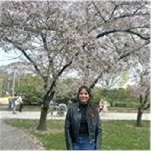 user photo