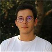 Professeur de mathématiques, d'informatique ou de physique pour élèves de primaire, collège ou lycée. Toulouse ou à distance