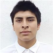 Maestro de matemáticas con 5 años de experiencia online