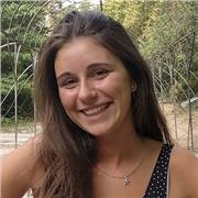 Doy clase a todo tipo de personas, y mi nivel es como el de una persona nativa