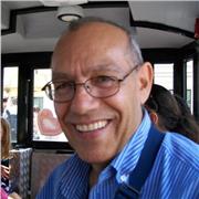 Insegnante di Italiano immediatamente disponibile