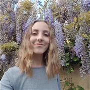 Cours particuliers primaire, collège, lycée toute discipline