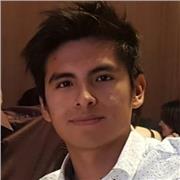 Profesor de matemática e informática para todas las edades, desde ESO hasta universidad