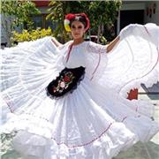 Profesora danza folklórica clases particulares