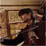 Insegnante di Violoncello professionista