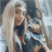 ¡Clases de matemáticas para niños de primaria! ¡Aprende y diviértete!