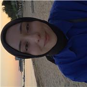 Hasibe