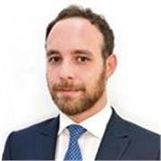 Offro ripetizioni online a bambini e ragazzi al fine di migliorare la conoscenza della lingua inglese