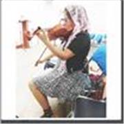 Músico violinista experimentada, busco compartir mis conocimientos en la música para disfrutar con ustedes y dar a conocer el arte