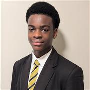 I give private tutoring lessons for primary school or GCSE maths