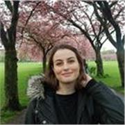 Expert Psychology Tutoring For IB Students and University Undergraduates!