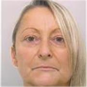 Thèse, prof de philosophie, usage régulier pro de l'anglais, l'italien, l'allemand (lus, parlés, écrits, traduits publiés)