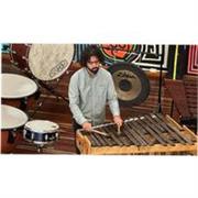 Percusionista sinfónico profesional, con un conocimiento amplio en percusion menor y percusion latina