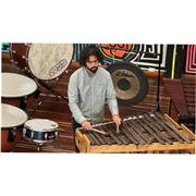 Percusionista sinfónico profesional, con un conocimiento amplio en percusion menor y percusion latina