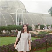 Fun Chinese & Art Lessons for Kids – Learn, Create, and Grow Online!