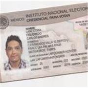 Profesor Ingles en linea