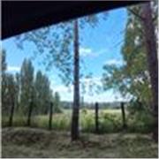 Clases particulares de inglés Online