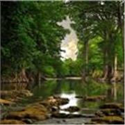 Tutor Online per la Scuola Primaria – Part Time