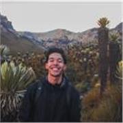 Profesor con experiencia en trabajo preuniversitario en Análisis de Imagen, con gran capacidad didáctica y digital
