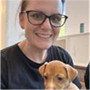 11+, SATs and primary tuition specialist in English, Maths and Reasoning. Current private school teacher with specialism in exams