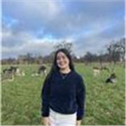 Estudiante con nivel B2 de ingles, puedo dar clase a niveles bajos y medios (A1-B2).