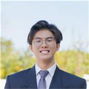 A-Levels and GCSEs Tutor for Maths and Further Maths