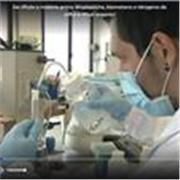 Docente di laboratorio impartisce lezioni di chimica, biologia e fisica