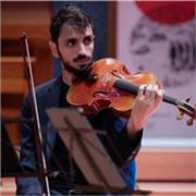 Violista Diplomato in viola al conservatorio  S. Cecilia , offre lezioni di Violino, Viola, Musica da Camera e Solfeggio