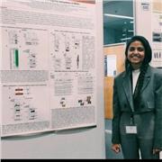 Personalized English Lessons for Academic and Professional Success