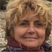 Professeur de dessin. Apprentissage du dessin, tout type de public, pas de niveau requis. Approche des bases du dessin, perspective, croquis etc