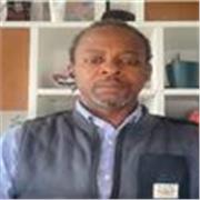 Cerchi un tutor di inglese con esperienza pertinente in italiano?