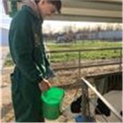Estudiante de Veterinaria con experiencia como entrenador y voluntario, ofrezco clases variadas dinámicas 
