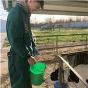 Estudiante de Veterinaria con experiencia como entrenador y voluntario, ofrezco clases variadas dinámicas