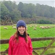 Profesora de inglés nativa especializada en preparación de examenes Cambridge, apoyo escolar y clases de conversación