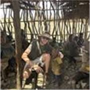 Profesor de inglés/ español, con nivel nativo en ambos. 